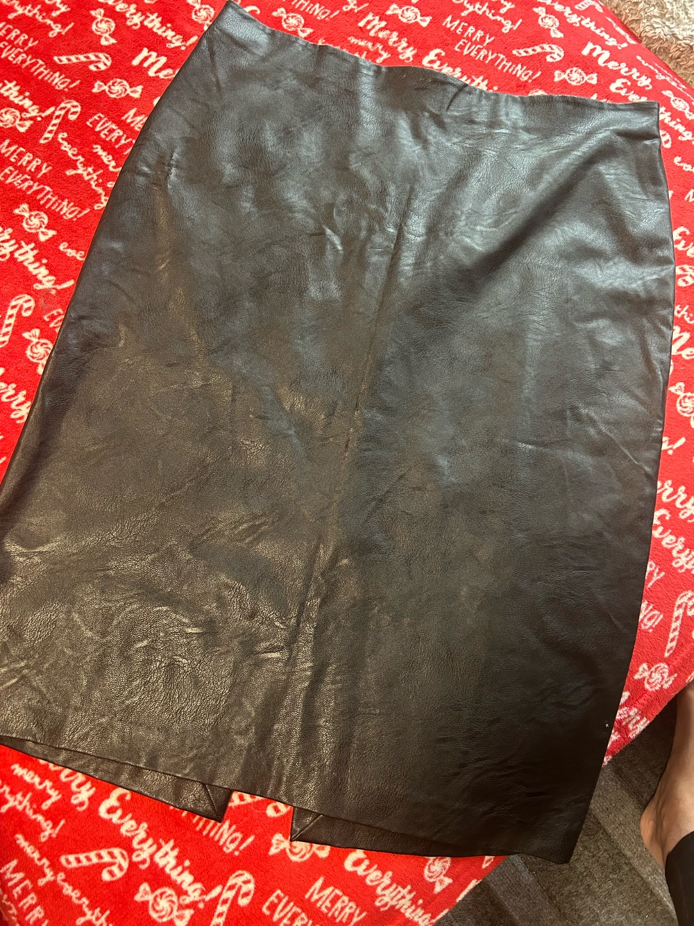 Stunning  faux pleather skirt NWOT